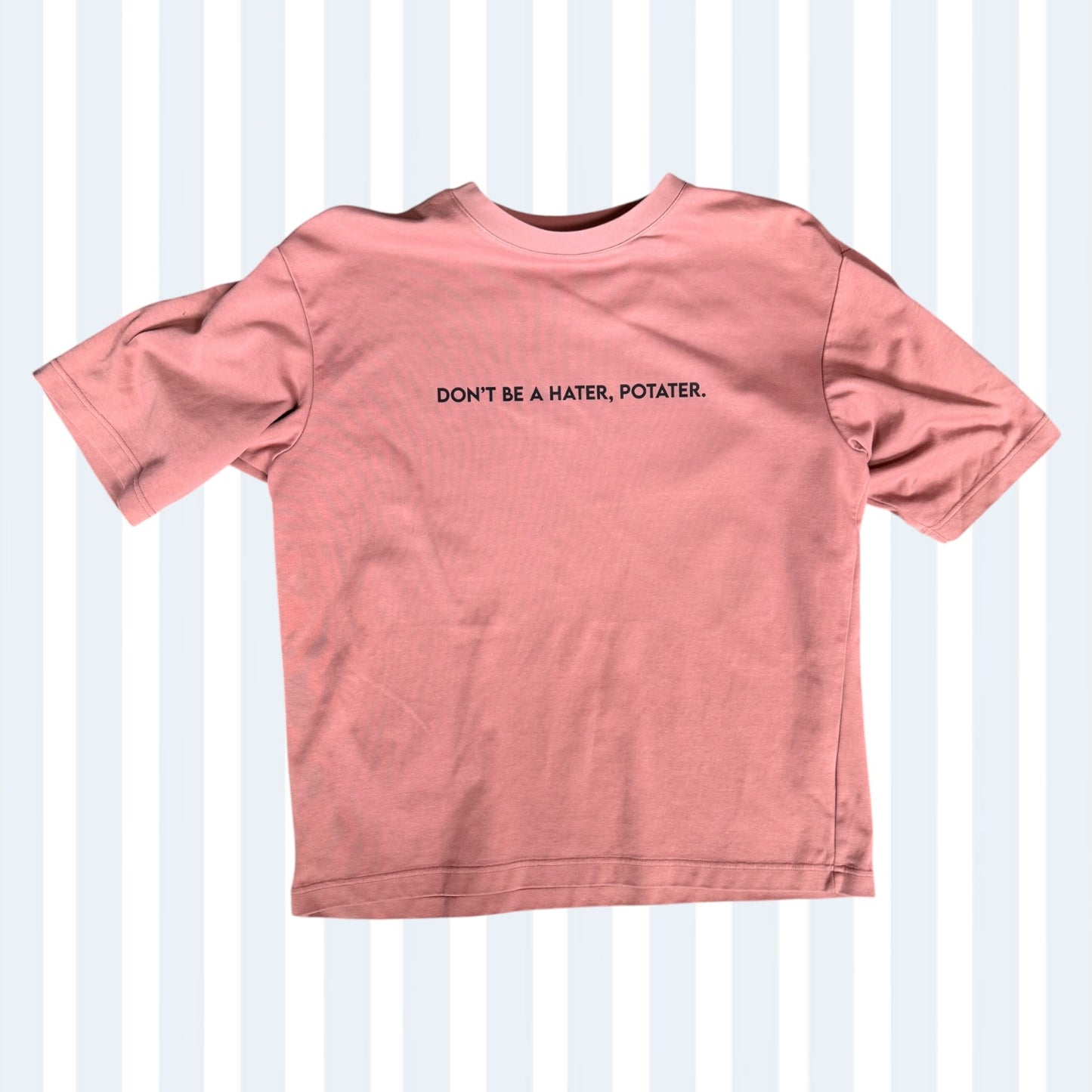 CTT Dusty Pink "Don't Be a Hater, Potater" Tee L